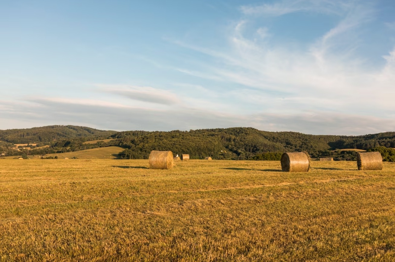 Skyland Ranch