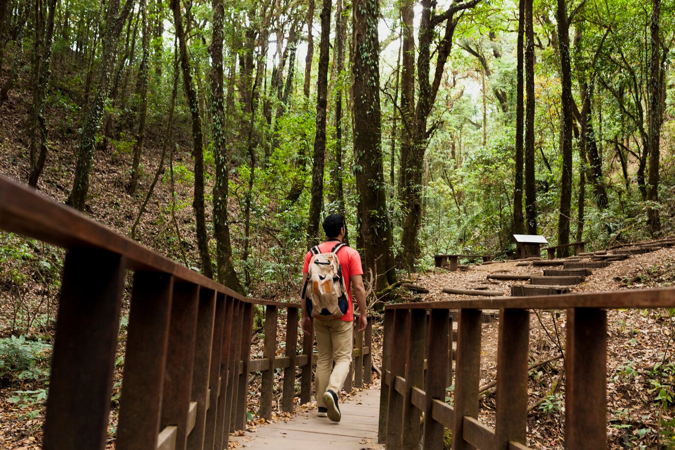 Hiking Trails